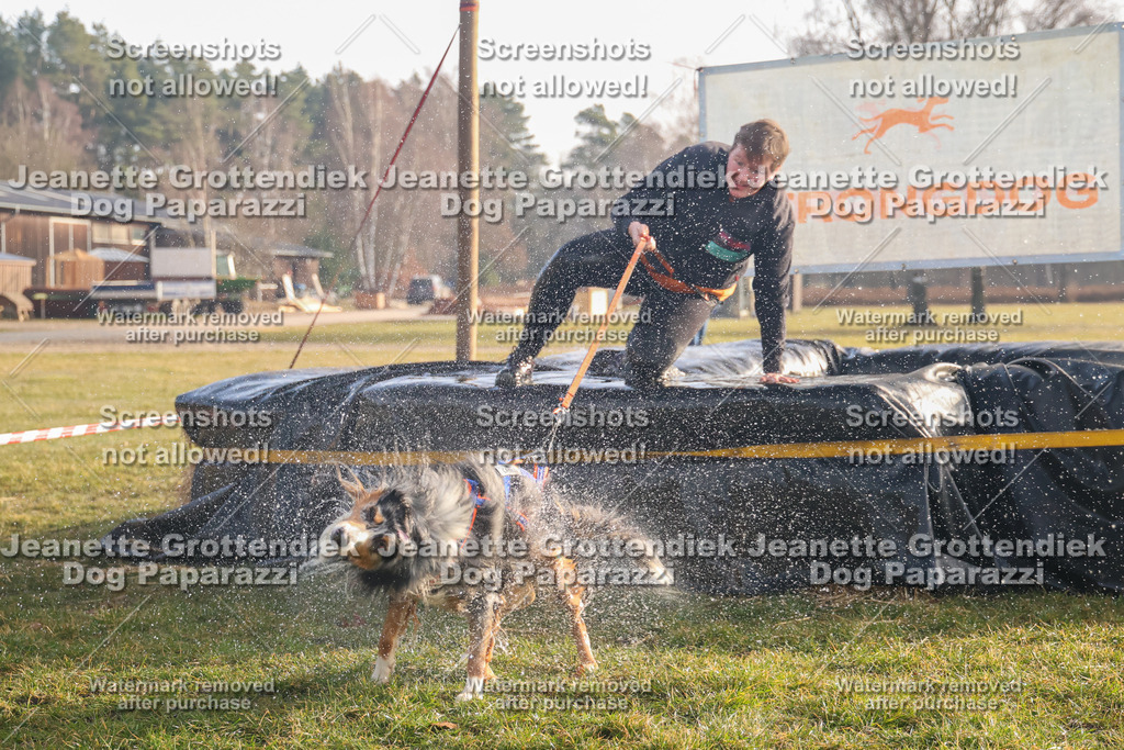 Dog Paparazzi - SD North 0326 900930-124 | Dog Paparazzi Jeanette Grottendiek Fotografie & Videografie - Realisiert mit Pictrs.com