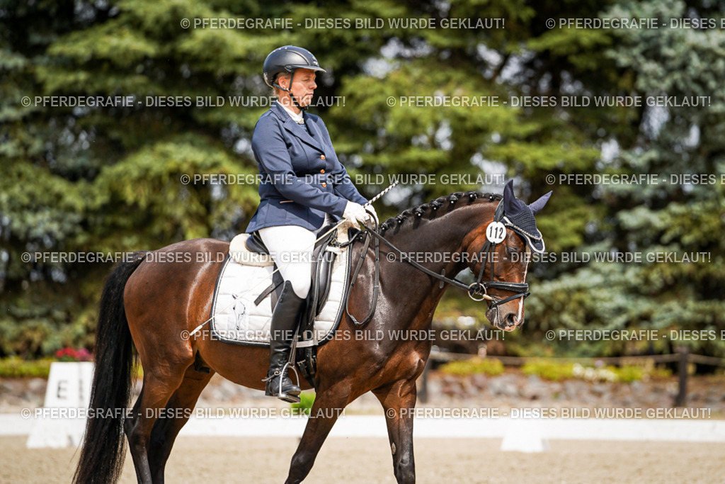 DSC04208 | Pferdegrafie