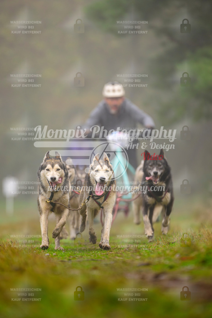 MompixPhotography_Bischwiller2025_Kart-34 | mompixphotography