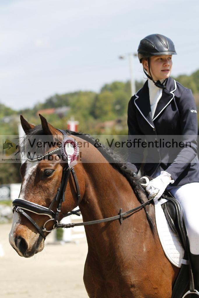 _MG_0329 | equestrian-live-com