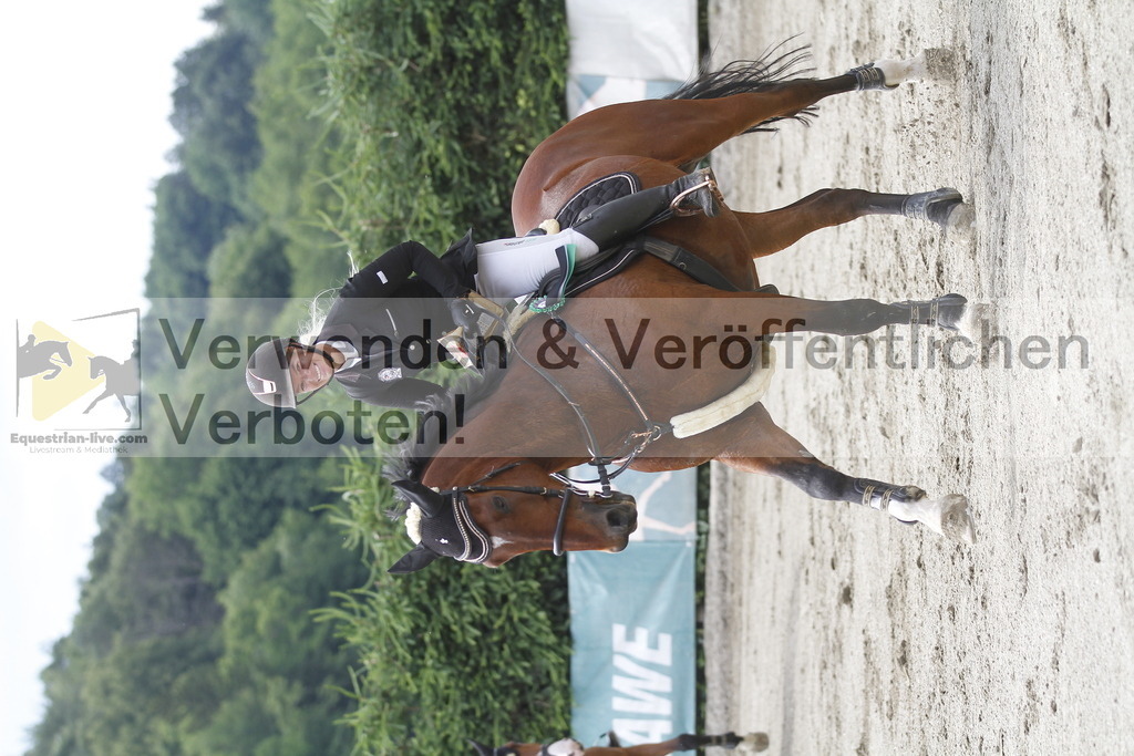 _MG_5526 | equestrian-live-com