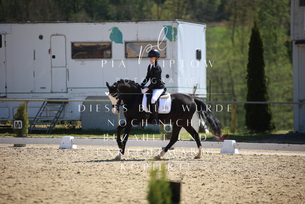 IMGT1504 | pl-fotografie