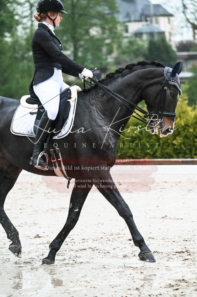 DSC_4488 | Pferde- und Turnierfotografie in Westsachsen. Pferdeportraits, Auftragszeichnungen und intuitive Kunst.