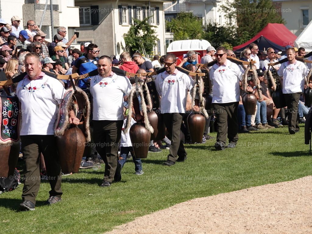 DSC05588 | Schwingen - Realisiert mit Pictrs.com