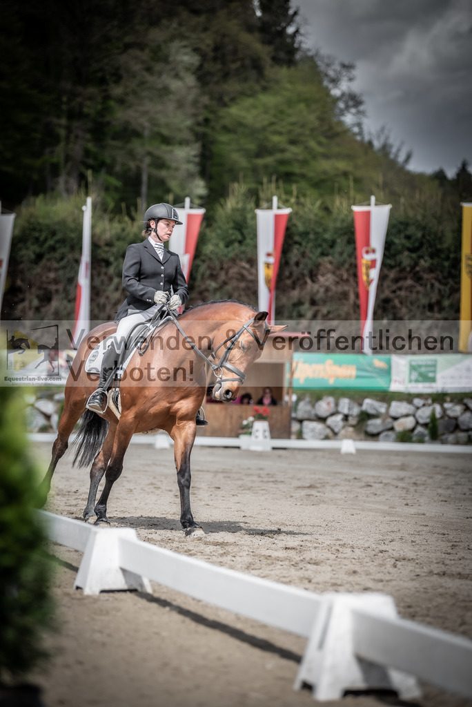 DSC_2377 | equestrian-live-com