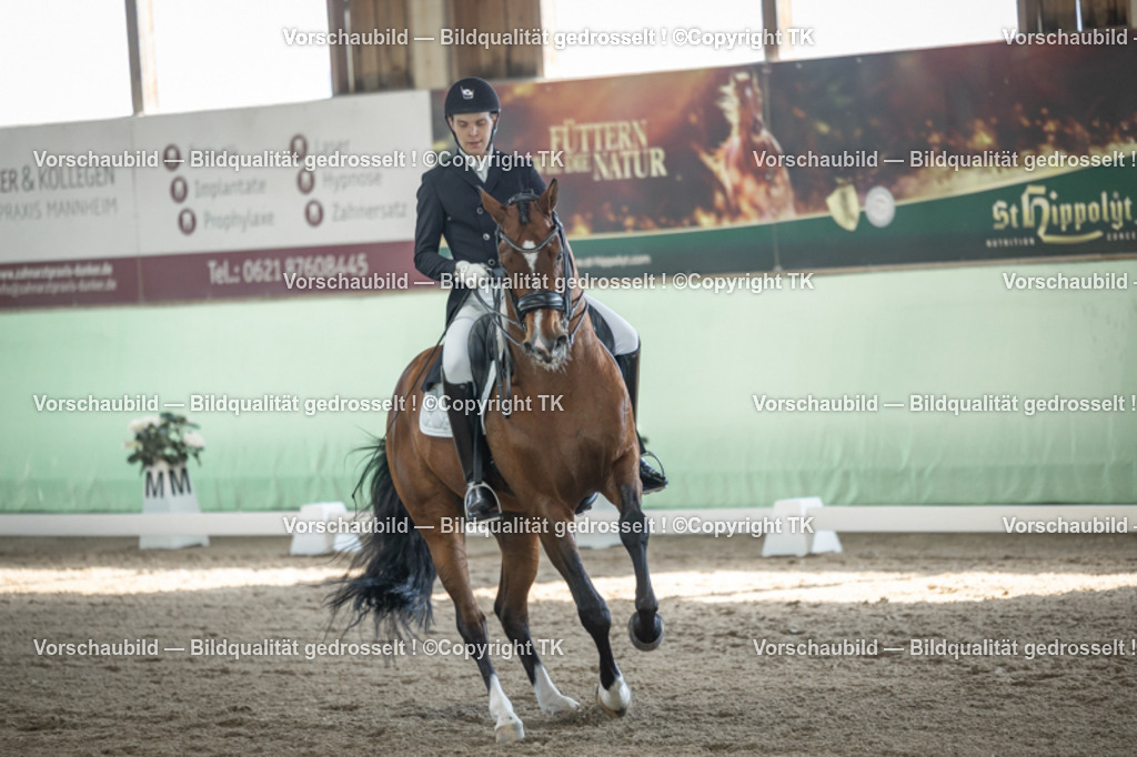 _D5A9765 | Emotionale Pferde- & People-Fotografie rund um Heidelberg, Leimen & Umgebung. Natürliche Fotos von Pferd, Mensch & Familie. Jetzt Termin sichern!