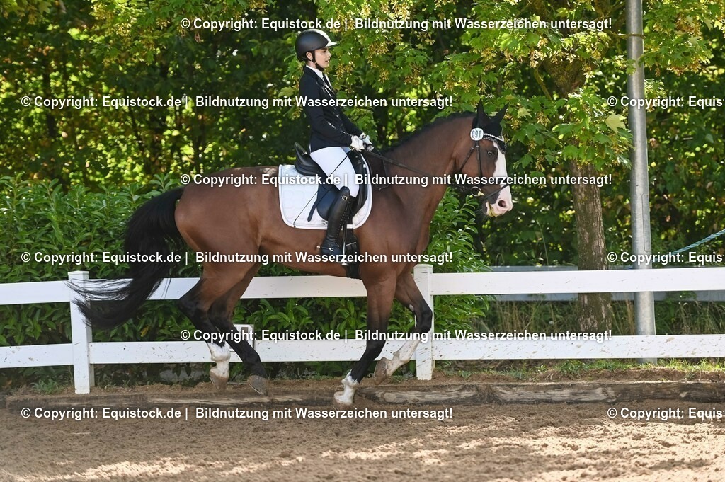 20230716_04_Dressurreiterprüfung Kl.A_0151 | equistock