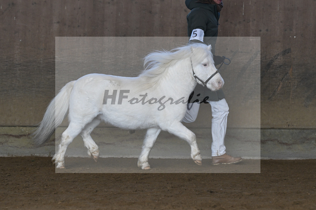 Kat-Nr. 15 Bayerns Flip v. Halstock Firefox_ZG Stumhofer Ostermeier_49250657 | hf-fotografie - Realisiert mit Pictrs.com