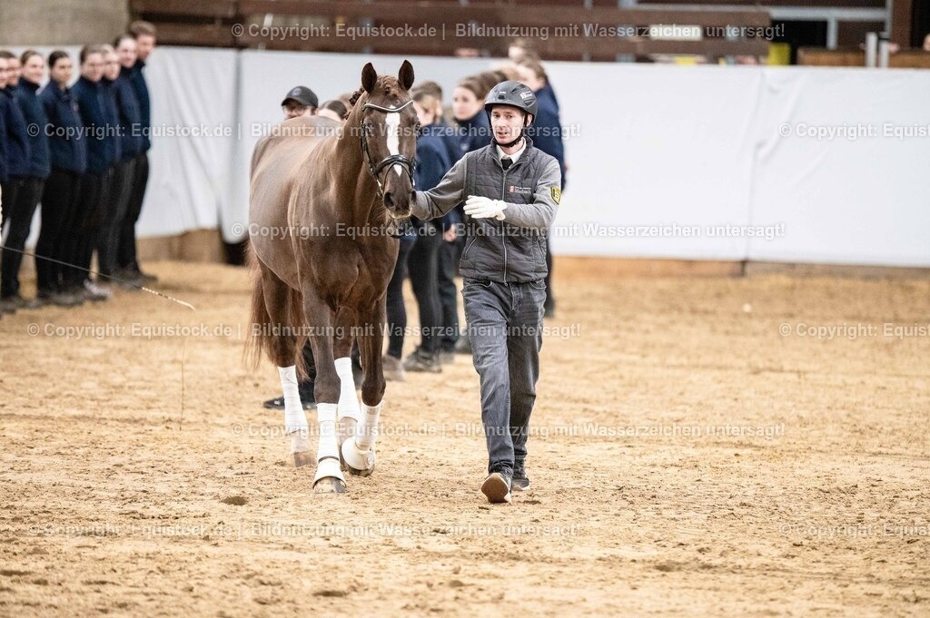 20260307_Hengstvorstellung-Marbach_0528 | equistock