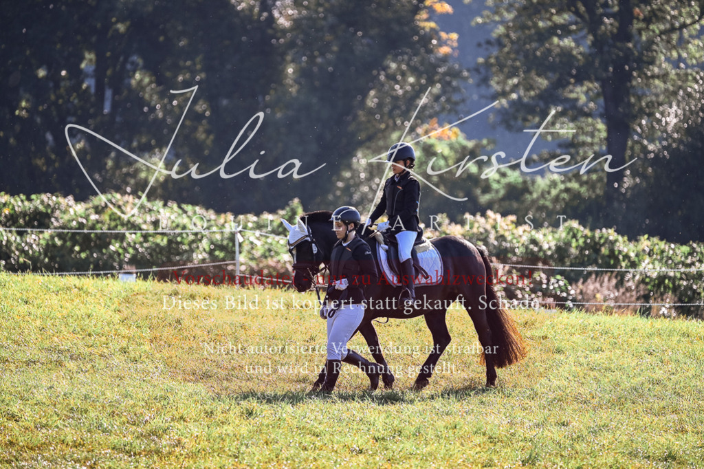 DSC_0373 | Pferde- und Turnierfotografie in Westsachsen. Pferdeportraits, Auftragszeichnungen und intuitive Kunst.