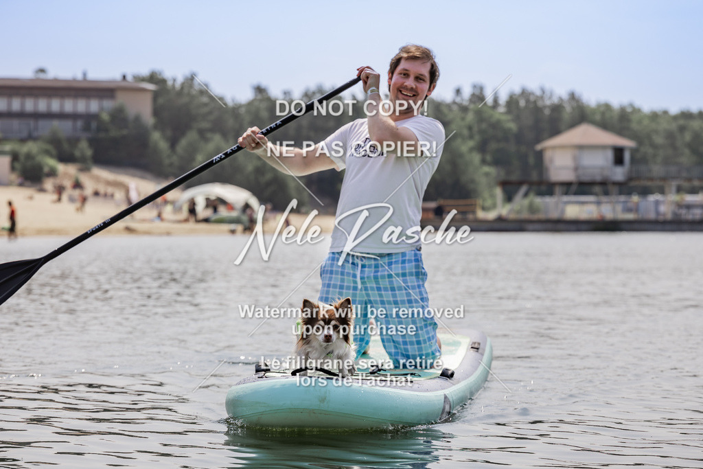 BUHU_SUP_587 | nelerasche