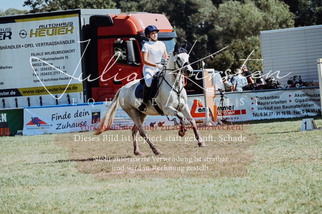 DSC_6532 | Pferde- und Turnierfotografie in Westsachsen. Pferdeportraits, Auftragszeichnungen und intuitive Kunst.