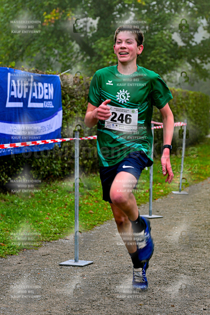 Z8N_1577 | la-psv - Realisiert mit Pictrs.com