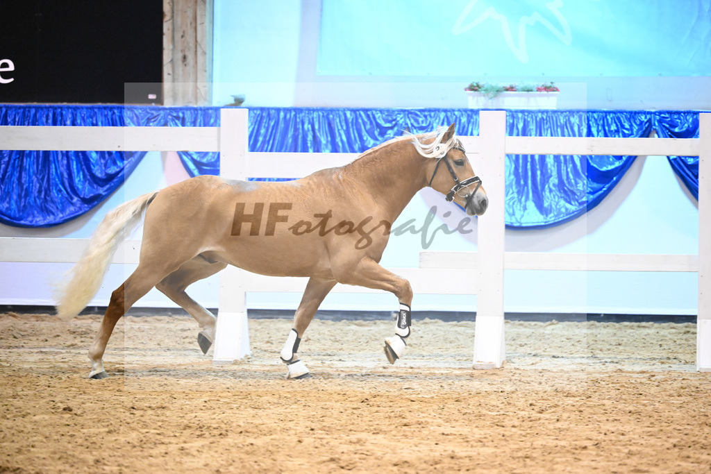 Kat-Nr. 36 nn v. Ansgar_Port_60220591 | hf-fotografie - Realisiert mit Pictrs.com