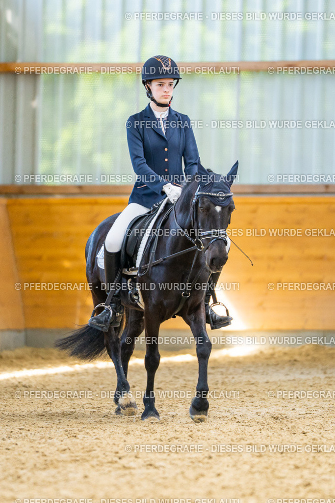 DSC08926 | Pferdegrafie