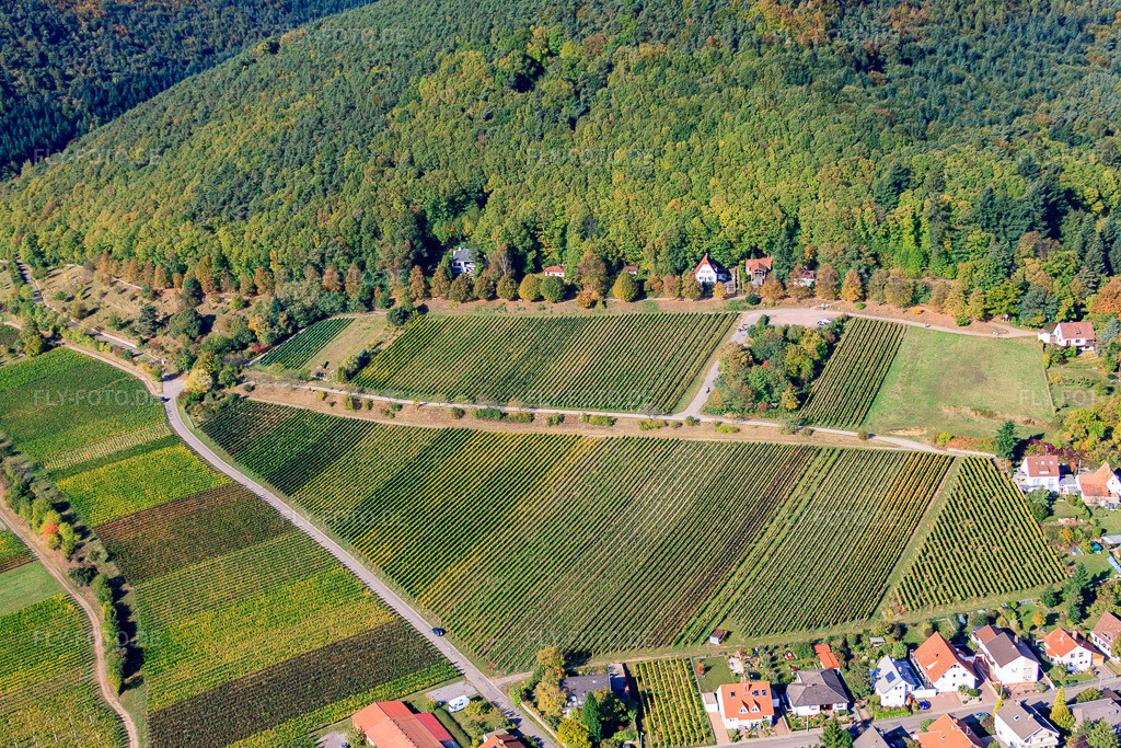 Luftbild: Haardtrand-Faulenberg in Gleisweiler im Bundesland Rheinland-Pfalz in Deutschland. Foto: IMG_22268.jpg vom 15.10.2009 durch Werner Riehm/FLY-FOTO.de