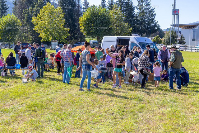 SchaZie Tag | Bildershop von pixelworld.at - Realisiert mit Pictrs.com