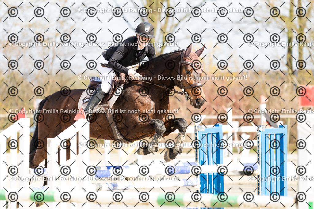 CL5A4538 | Emilia Reinking Fotografie - Realisiert mit Pictrs.com