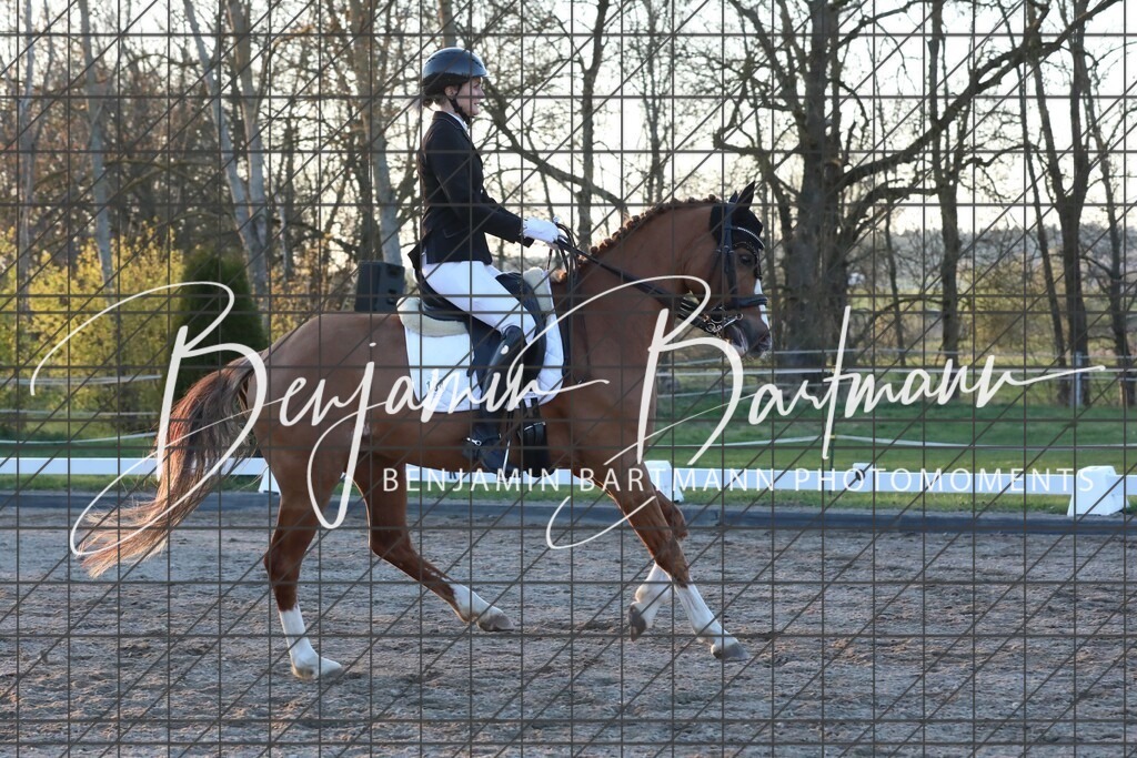 AZ2A7286 | Benjamin Bartmann Photomoments