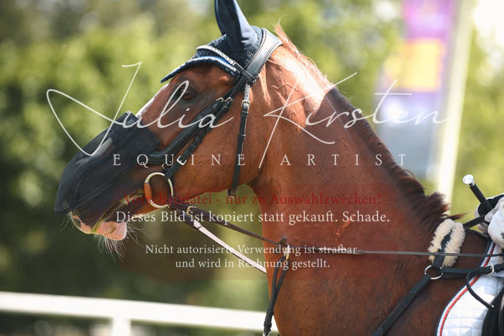 DSC_6678 | Pferde- und Turnierfotografie in Westsachsen. Pferdeportraits, Auftragszeichnungen und intuitive Kunst.