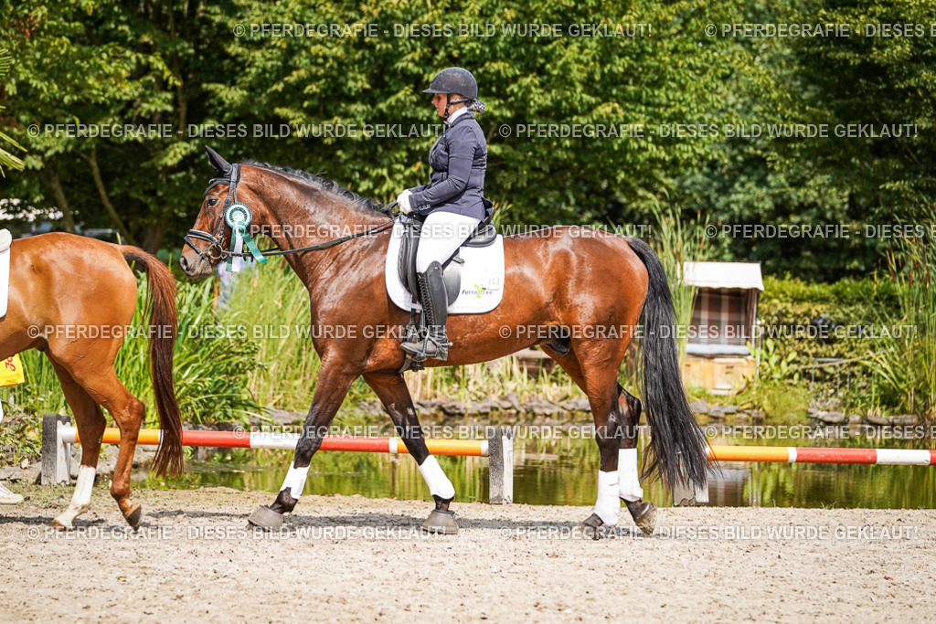 DSC02406 | Pferdegrafie