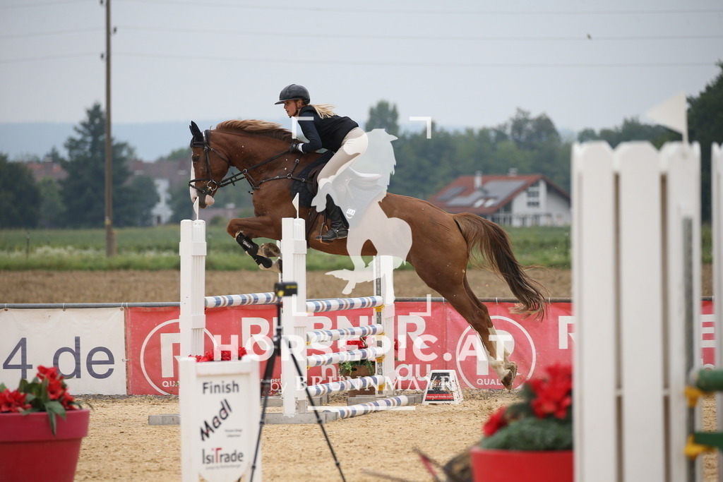 DL2Q7748 | Willkommen bei Brunnmayr - Design & Fotografie – Ihrem Spezialisten für Reitturniere und Pferdeveranstaltungen in Oberösterreich, Salzburg und Bayern! Seit über 17 Jahren sind wir leidenschaftlich dabei.