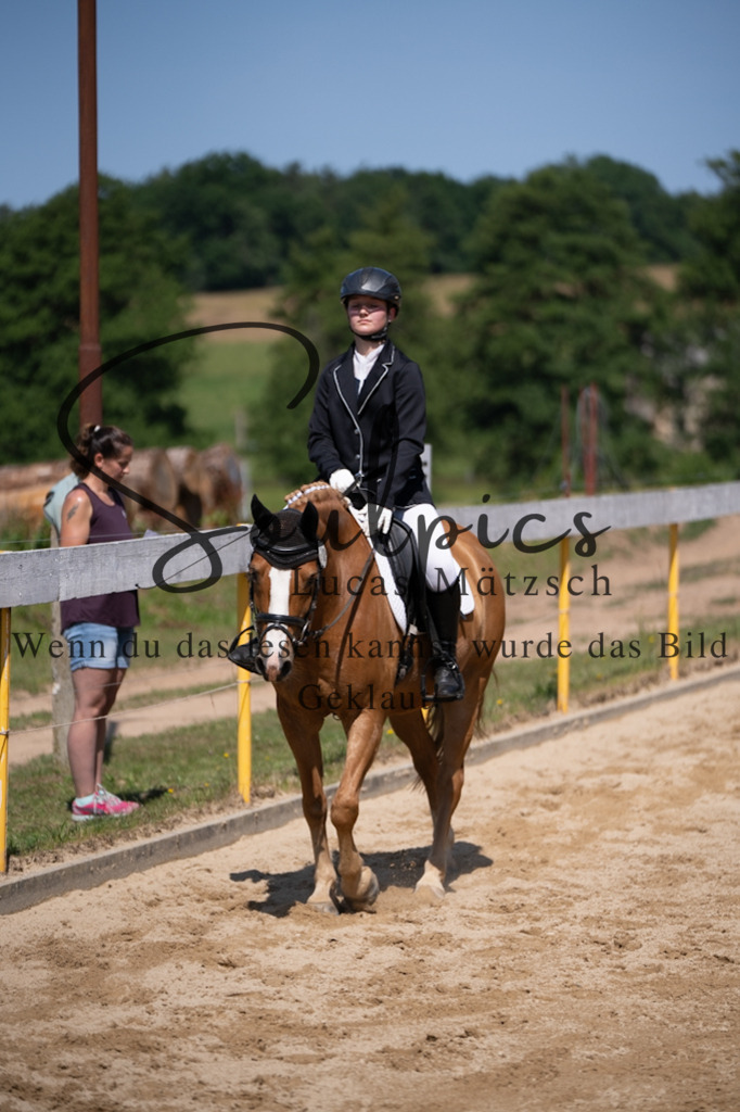 A7V07931 | Pferdefotograf