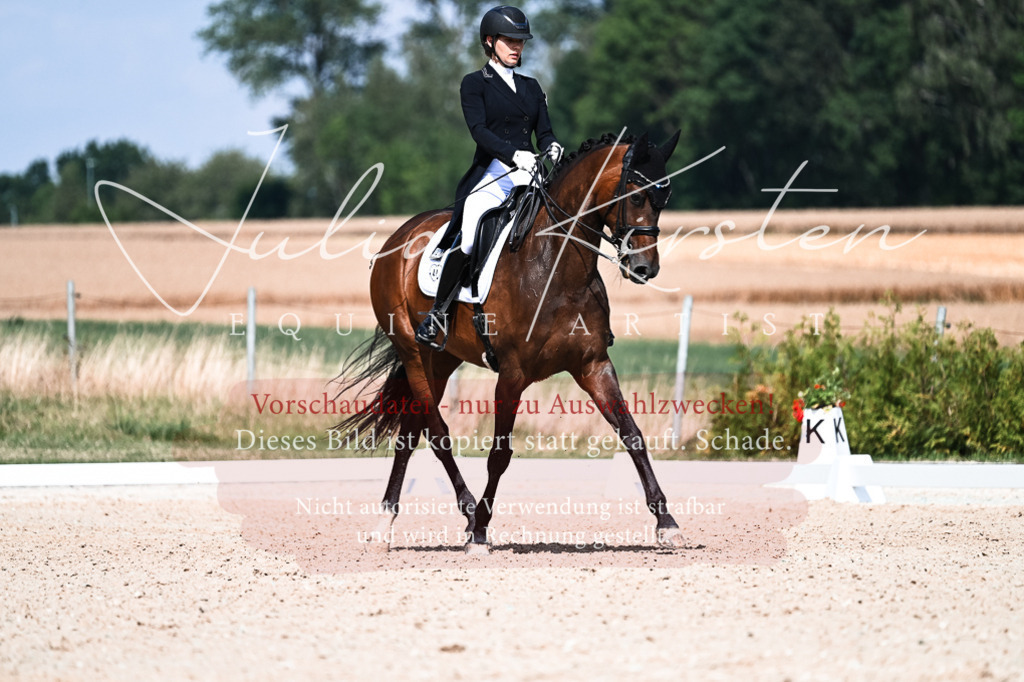 DSC_3057 | Pferde- und Turnierfotografie in Westsachsen. Pferdeportraits, Auftragszeichnungen und intuitive Kunst.