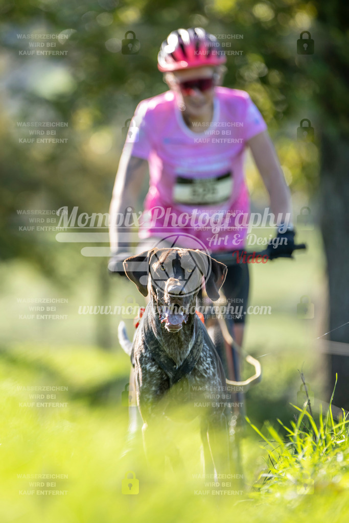 MompixPhotography_20TSB_E3_DS1-21 | PayLife