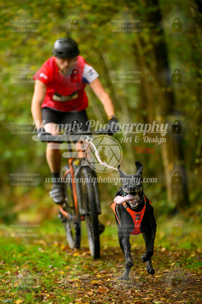MompixPhotography_20TSB_E1_Doppel-3 | PayLife