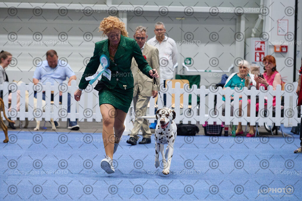 202406_ÖKV-IHA-Tulln24_DSC_3075 | proPHOTO - Realisiert mit Pictrs.com