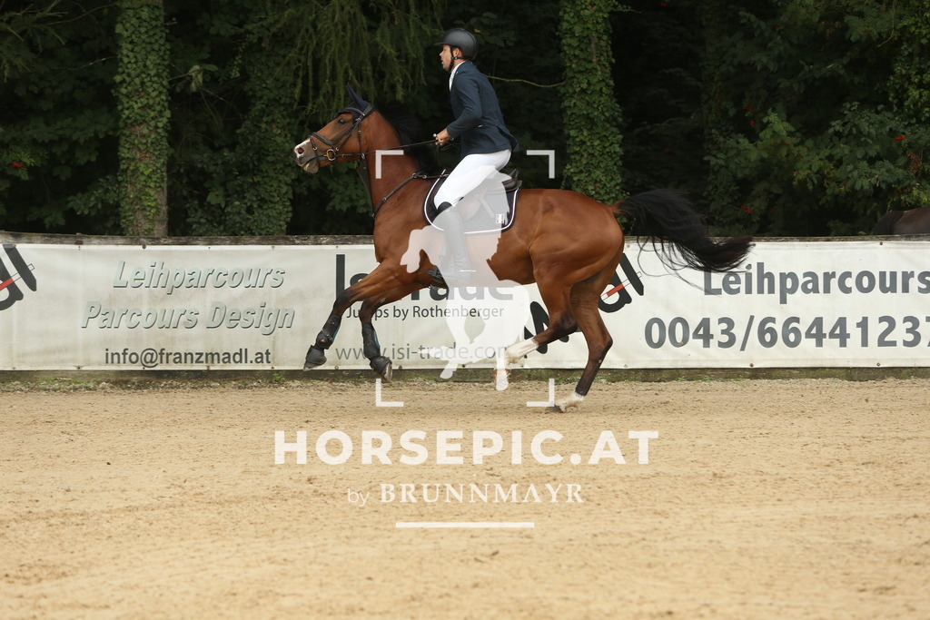 DL2Q6056 | Willkommen bei Brunnmayr - Design & Fotografie – Ihrem Spezialisten für Reitturniere und Pferdeveranstaltungen in Oberösterreich, Salzburg und Bayern! Seit über 17 Jahren sind wir leidenschaftlich dabei.