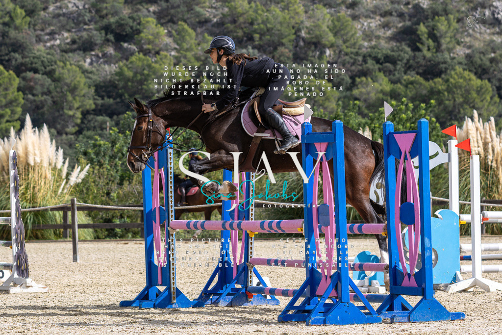 IMG_2980 | s-jay-photography - Realisiert mit Pictrs.com