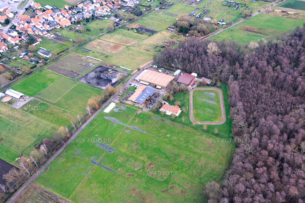 Luftbild: Islandpferde-Gestüt Bienwald in Freckenfeld im Bundesland Rheinland-Pfalz in Deutschland. Foto: IMG_085887.jpg vom 08.01.2016 durch Werner Riehm/FLY-FOTO.deIslandpferde-Gestüt Bienwald