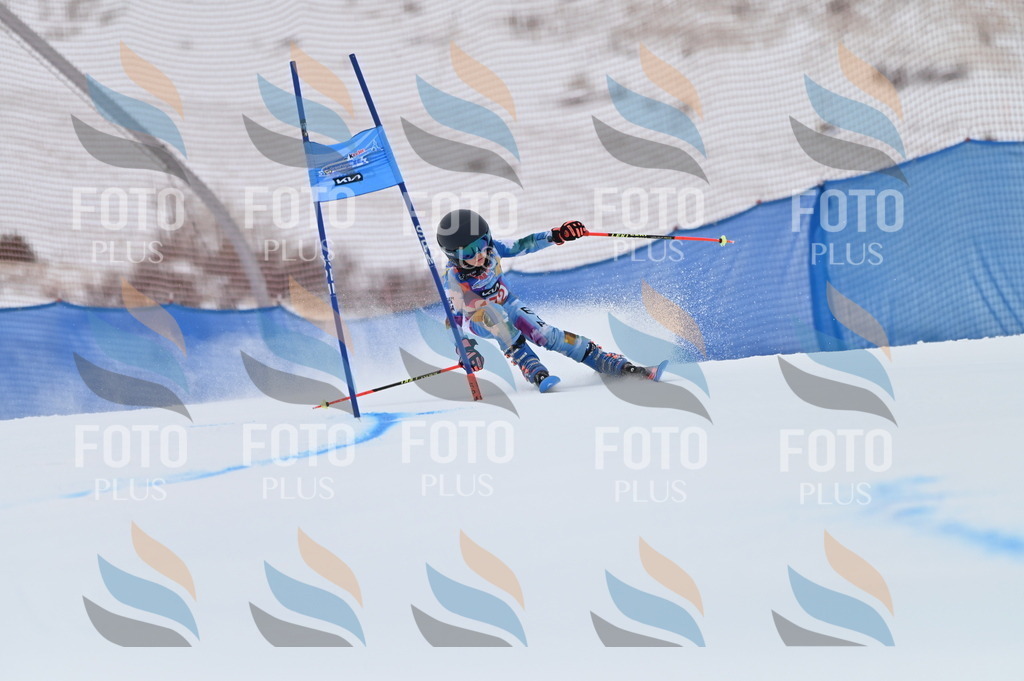 BGV_0669 | holidayphoto