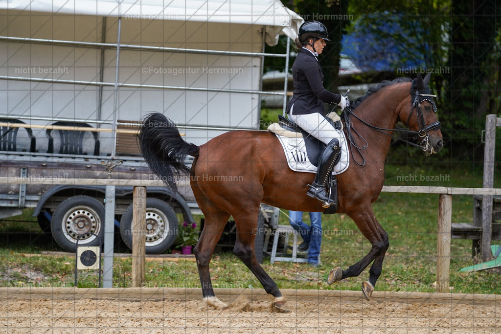 20231007-SN_01002 | Professionelle Turnier- und Reitsportfotografie - mit dem Finger am Auslöser. Pferdebilder aus dem Reitsport von den Turnierfotografen  Bayern , Pferdefotograf Bayern, Pferdeshooting Turnierbilder, Hochzeitsfotograf, Eventfotograf, Hochzeitsbilder