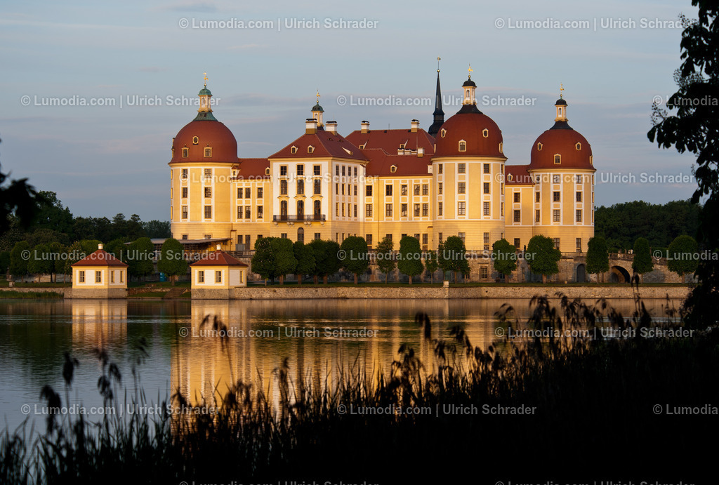 100491-3415 - Moritzburg bei Dresden | Stockfoto und Bilderpool mit Bildmaterial aus Deutschland, dem Harz, Halberstadt, Quedlinburg, Wernigerode und weltweit. Qualitativ hochwertige und professionelle Fotos anschauen und kaufen. - Realisiert mit Pictrs.com