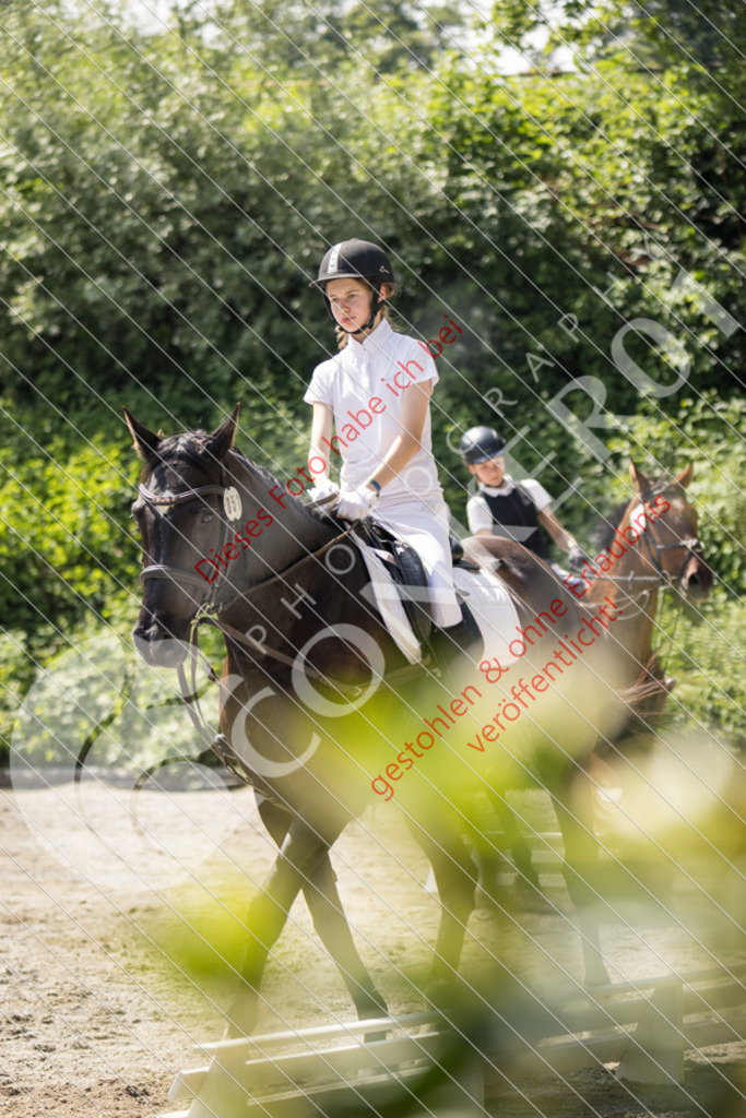 IMG_4622 | Sport-, Event- und Tierfotos in Profiqualität. Einfach auswählen, bestellen und herunterladen. Dein Moment – perfekt festgehalten.