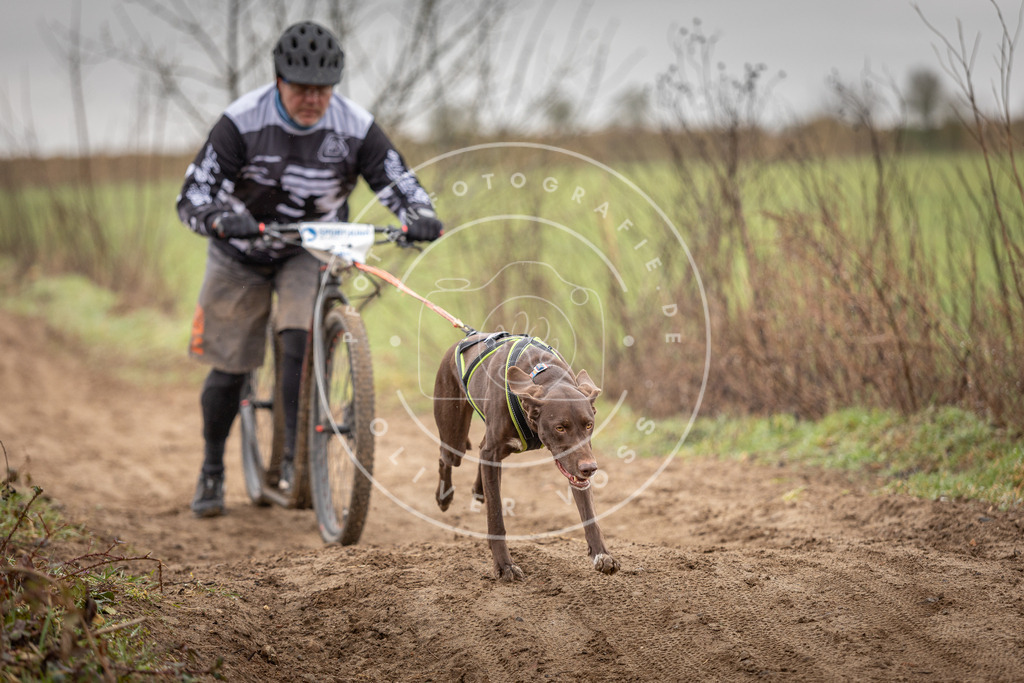 DV3A9277 | Hundefotografie, Tierfotograf, Pfotenfotografie, Fotoshooting Hund, Hunde Portrait, Hundesport, Hundeportraits, Heideshooting, Hunde, Sportfotograf, Hundefotograf, Turnierhundsport, THS,  - Realisiert mit Pictrs.com