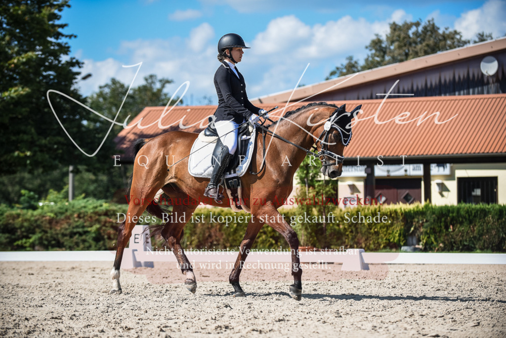 DSC_9580 | Pferde- und Turnierfotografie in Westsachsen. Pferdeportraits, Auftragszeichnungen und intuitive Kunst.