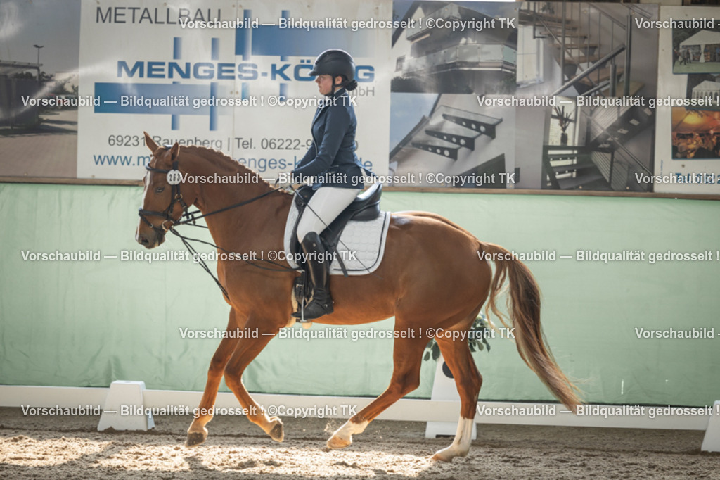 _D5A5616 | Emotionale Pferde- & People-Fotografie rund um Heidelberg, Leimen & Umgebung. Natürliche Fotos von Pferd, Mensch & Familie. Jetzt Termin sichern!