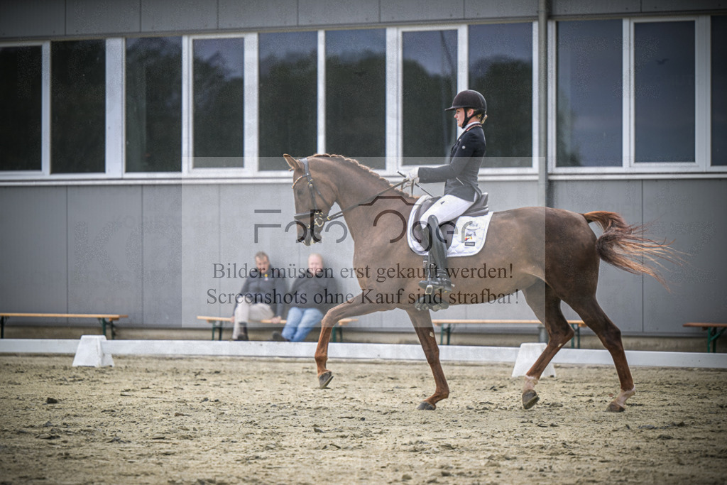 DOS_1759 | Entdecke hochwertige Reitturnierfotos von Foto Oger. Professionell, emotional und authentisch – jetzt Lieblingsmomente im Shop bestellen.Deutschlandweite Turnierfotografie. - Realisiert mit Pictrs.com