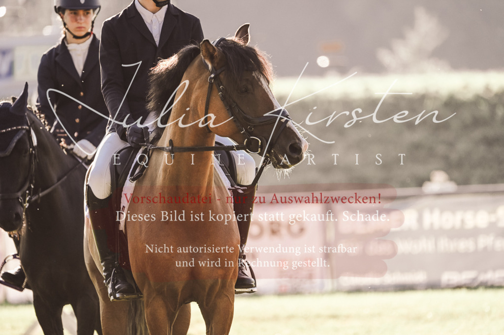 DSC_4543 | Pferde- und Turnierfotografie in Westsachsen. Pferdeportraits, Auftragszeichnungen und intuitive Kunst.