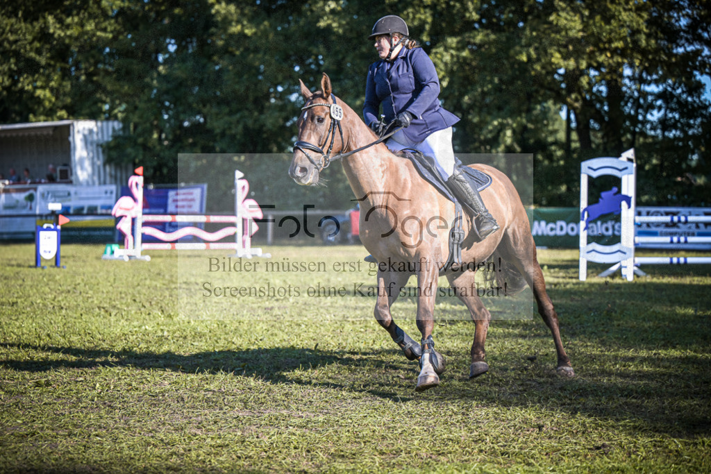 DOS_0263 | Entdecke hochwertige Reitturnierfotos von Foto Oger. Professionell, emotional und authentisch – jetzt Lieblingsmomente im Shop bestellen.Deutschlandweite Turnierfotografie. - Realisiert mit Pictrs.com