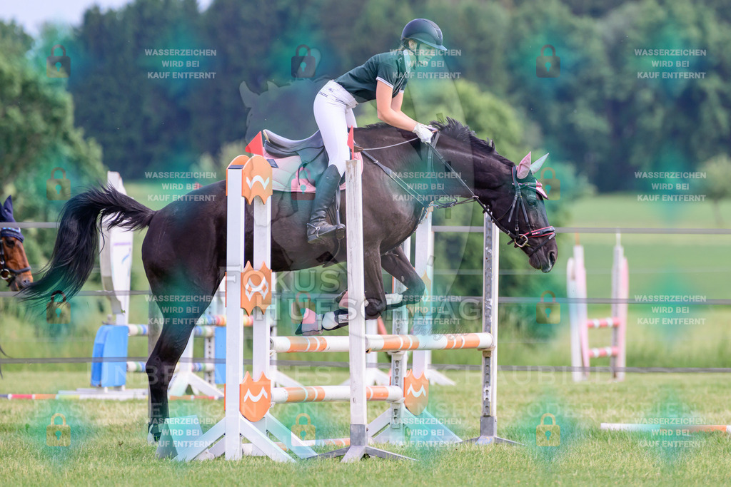 30052026-Forstinning-Prfg20-0360 | Fokus Hufschlag Fotografie - Realisiert mit Pictrs.com