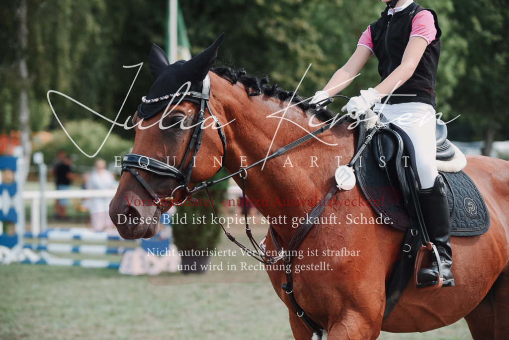 DSC_5591 | Pferde- und Turnierfotografie in Westsachsen. Pferdeportraits, Auftragszeichnungen und intuitive Kunst.