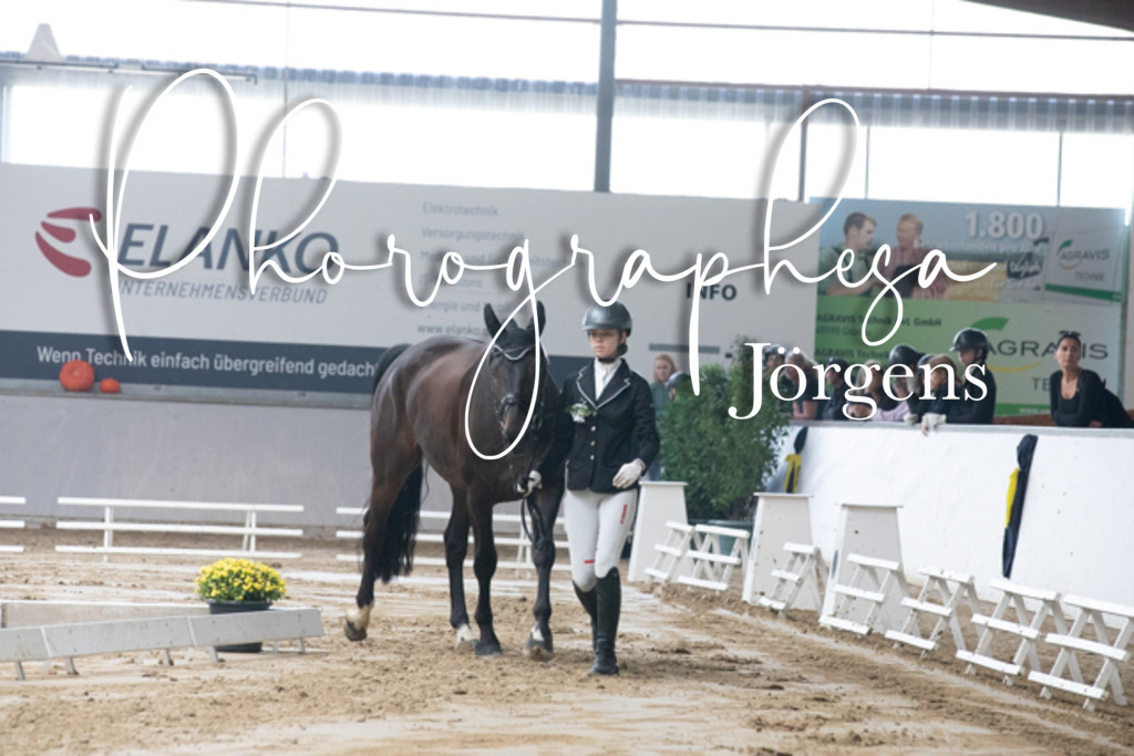 IMG_7087 | photographesa-joergens - Realisiert mit Pictrs.com