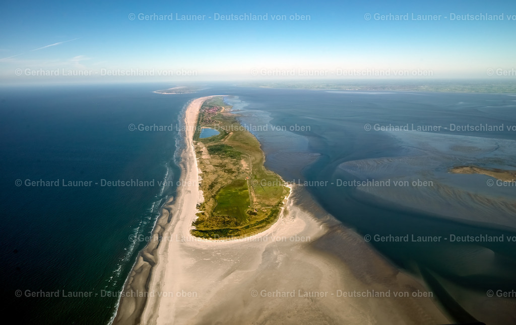 3091439 | Juist, Nationalpark Niedersächsisches Wattenmeer