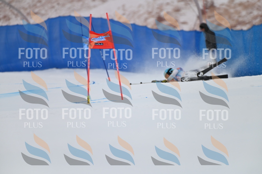 BGV_0395 | holidayphoto