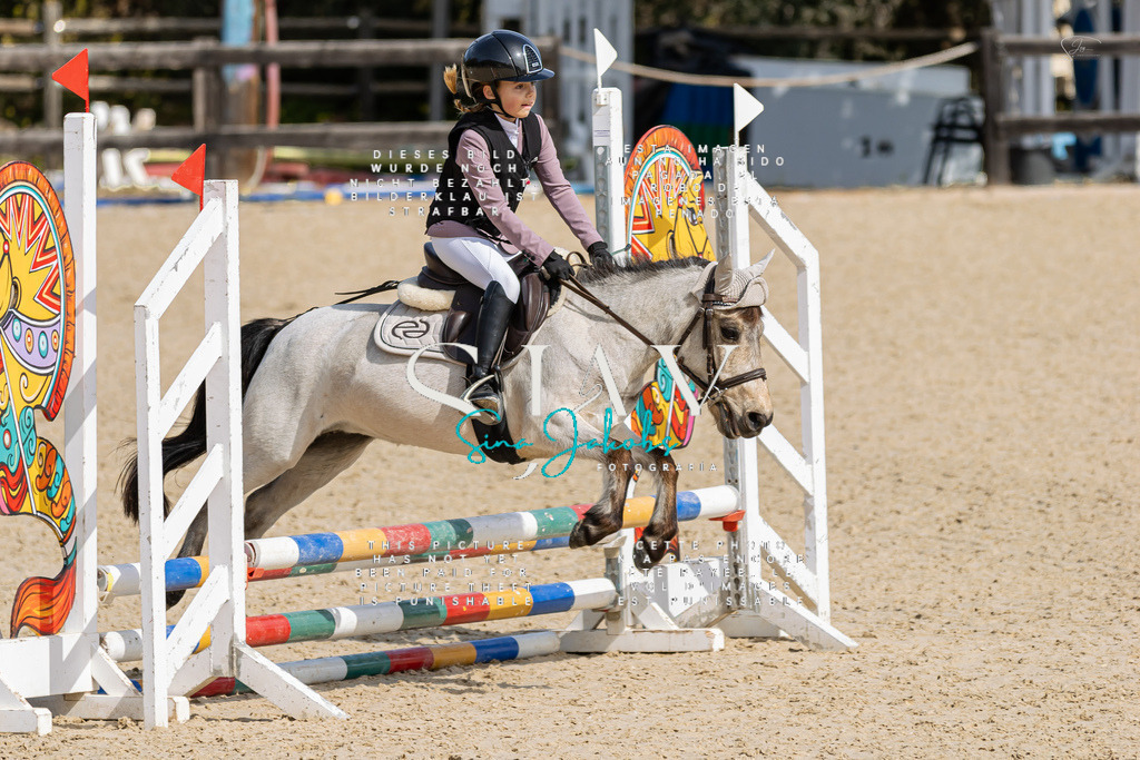 IMG_3051 | s-jay-photography - Realisiert mit Pictrs.com